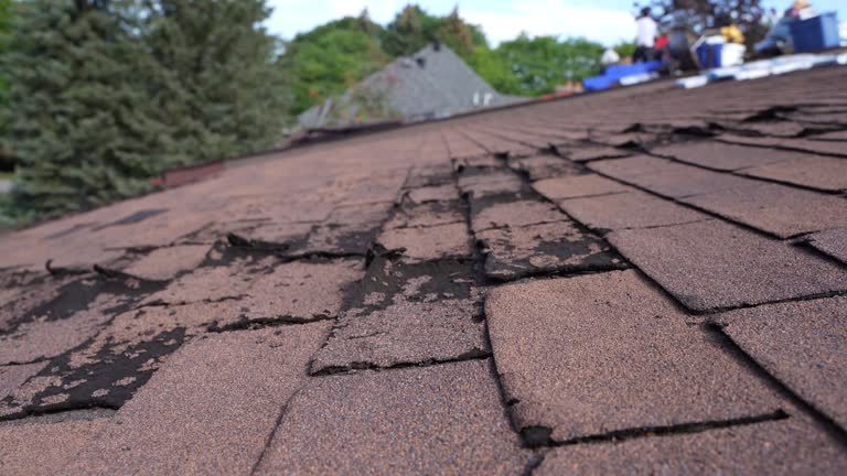 Best Roof Ventilation Installation  in St Lawrence, PA